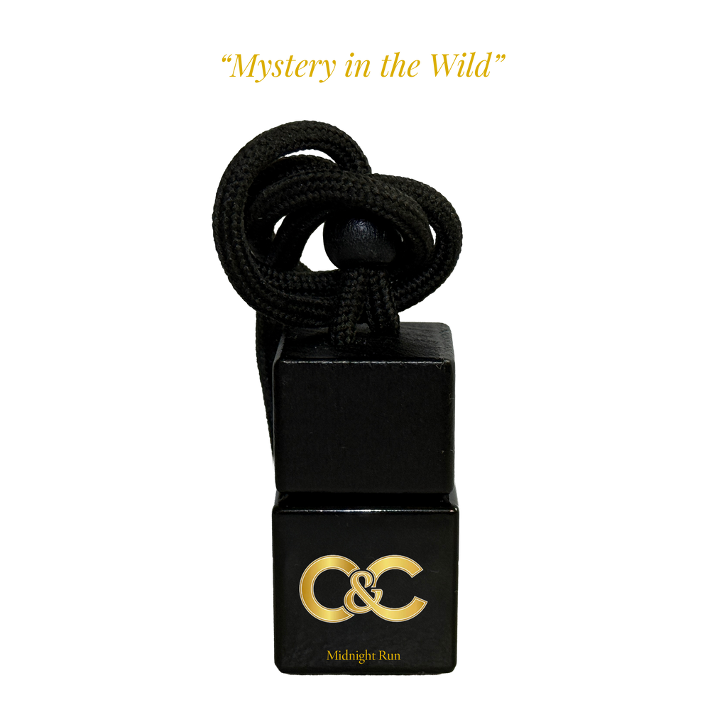 Midnight Run car diffuser inspired by Dior Sauvage